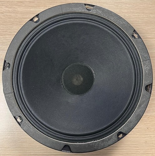 Woofer altoparlante irel 25cm - altoparlante,